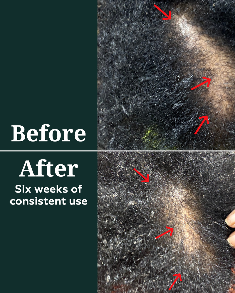 Deep Density Peptide Tonic for Visibly Thicker, Denser, & Fuller Hair